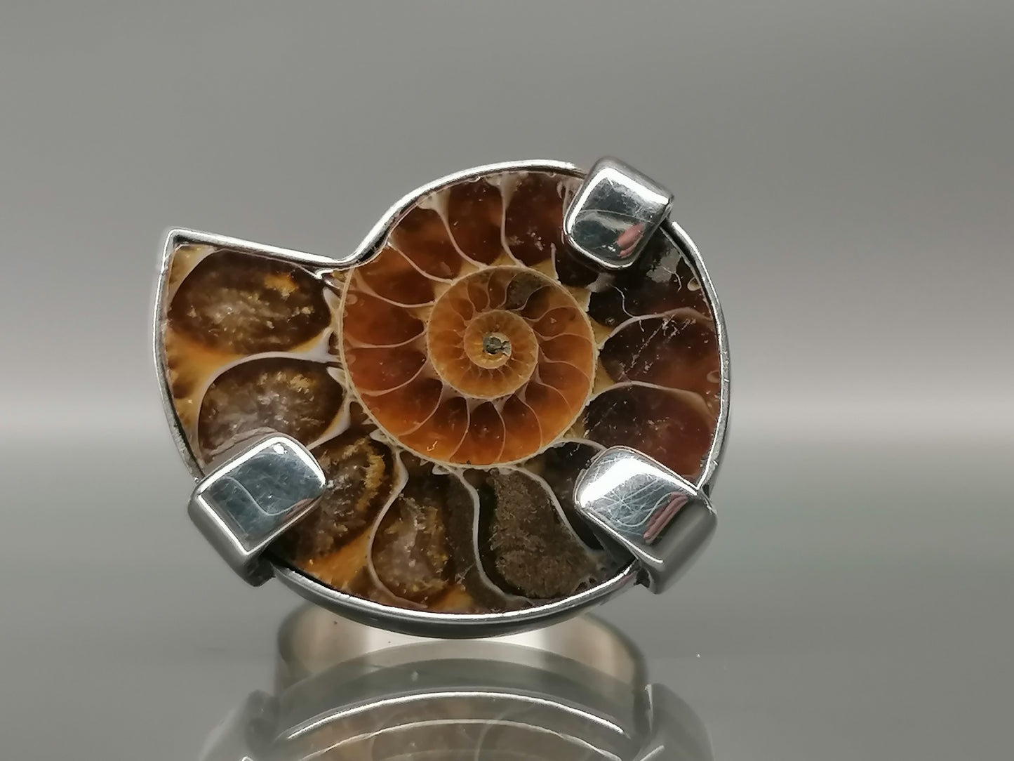 An unusual silver ring with ammonite